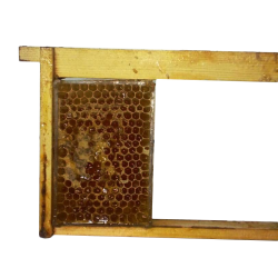 Otro material apícola Caja para miel en panal Cajas fabricadas en plástico transparente alimentario
Muy practico para venta de 