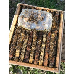 Alimentacion Alimento Ambrosia - Palé 800 kg Alimento para abejas de fácil conservación y muy valorado por los apicultores.

F