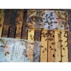 Alimento para abejas Alimento Beecomplet Invierno Palet 960 kg Beecomplet invierno alimento especial para el mantenimiento en lo