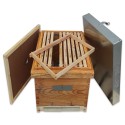 Colmenas de madera Camara de cria Dadant Transhumante, fondo sanitario - Dominguez Colmena simple, solo la cámara de cría, model