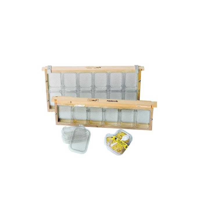 Colmenar ApiBox Maxi - Miel en panal para cuadro Langstroth Apibox es un set que se compone de pequeños recipientes de plástico 