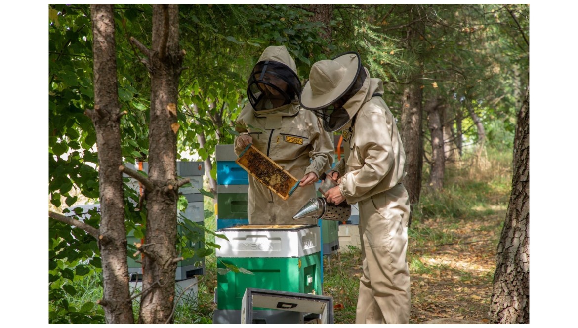El Ahumador para abejas: tipos de ahumadores y combustible 